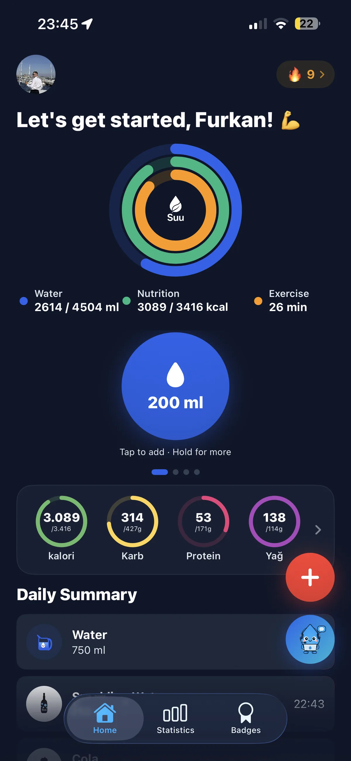 iOS — Ana ekran